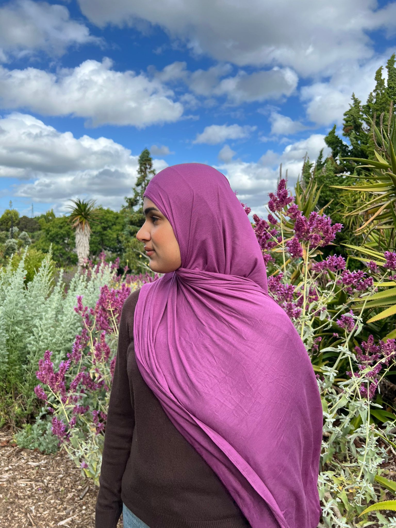 Cotton Jersey Royal Fuschia