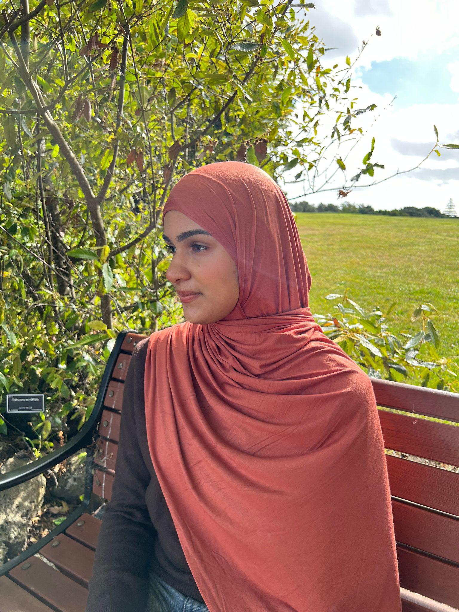 Cotton Jersey Autumn